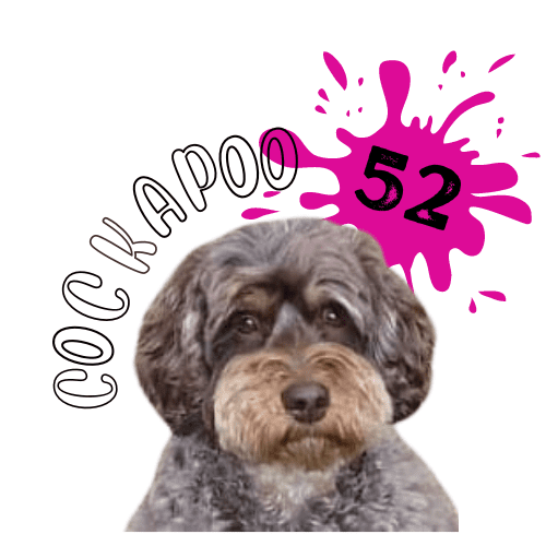 Logo Cockapoo 52