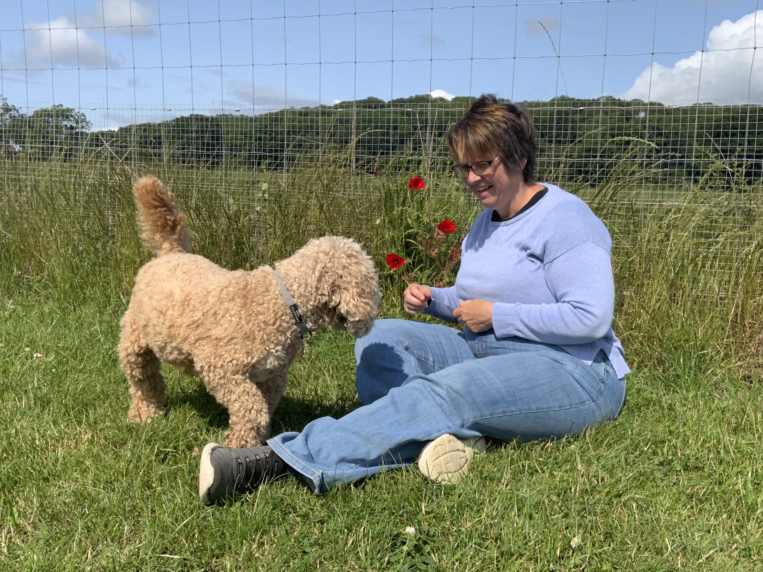 9BEAD4C1-B756-4CDB-9ED4-B936239EBB72