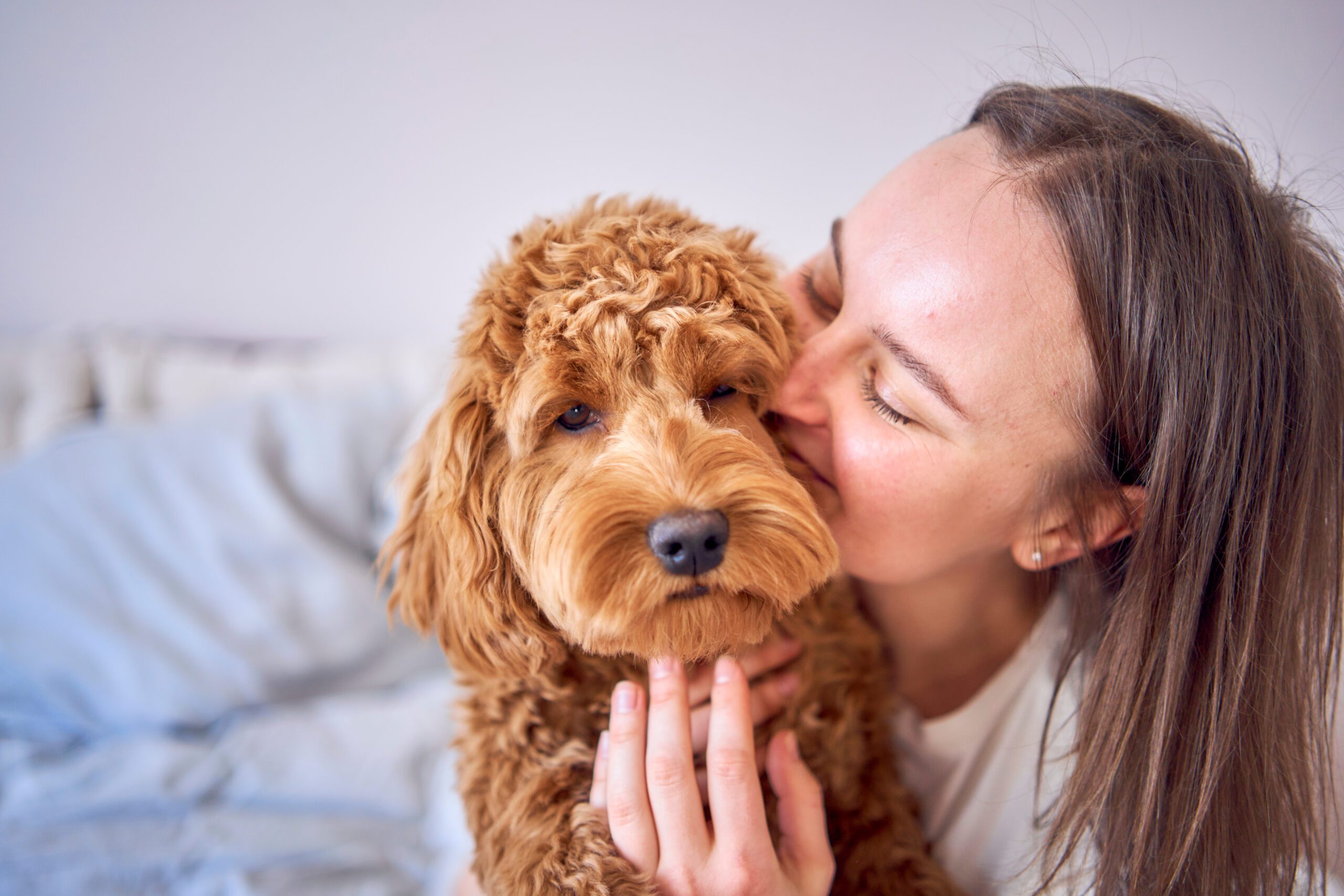 a  young woman playing and kissing cockapoo girl on bed, minimalism