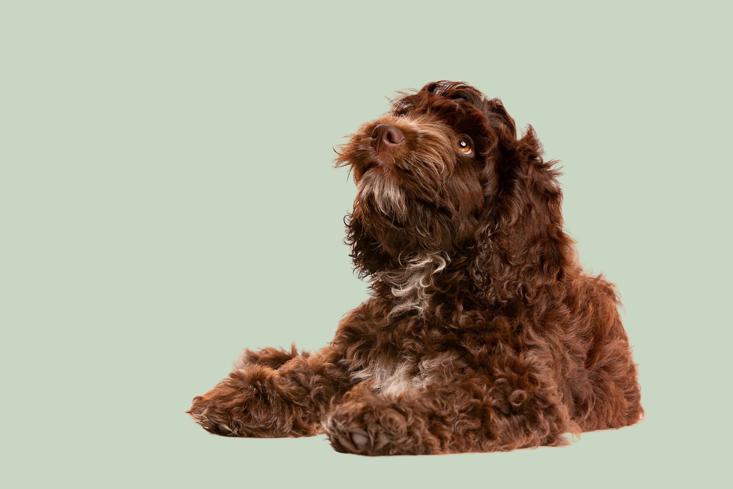 Untitled design (24)