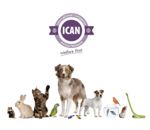 ICAN logo 2