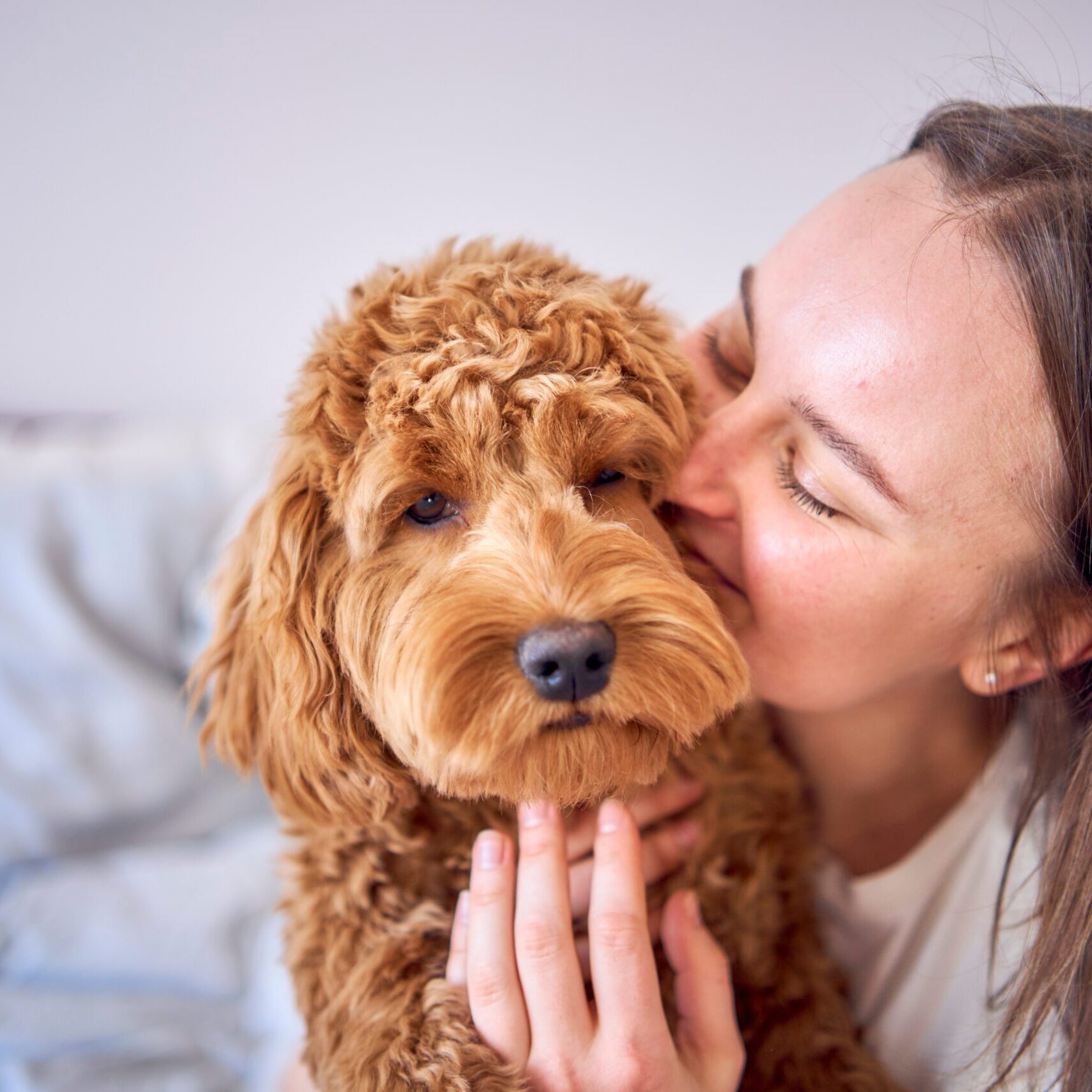 A girl cuddling a red cockapoo