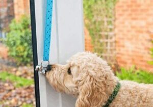 ChatGPT Image Feb 2, 2026, 01_06_47 PM