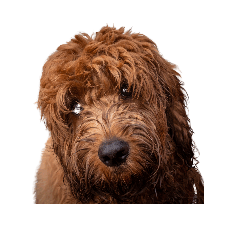 Untitled design (27)