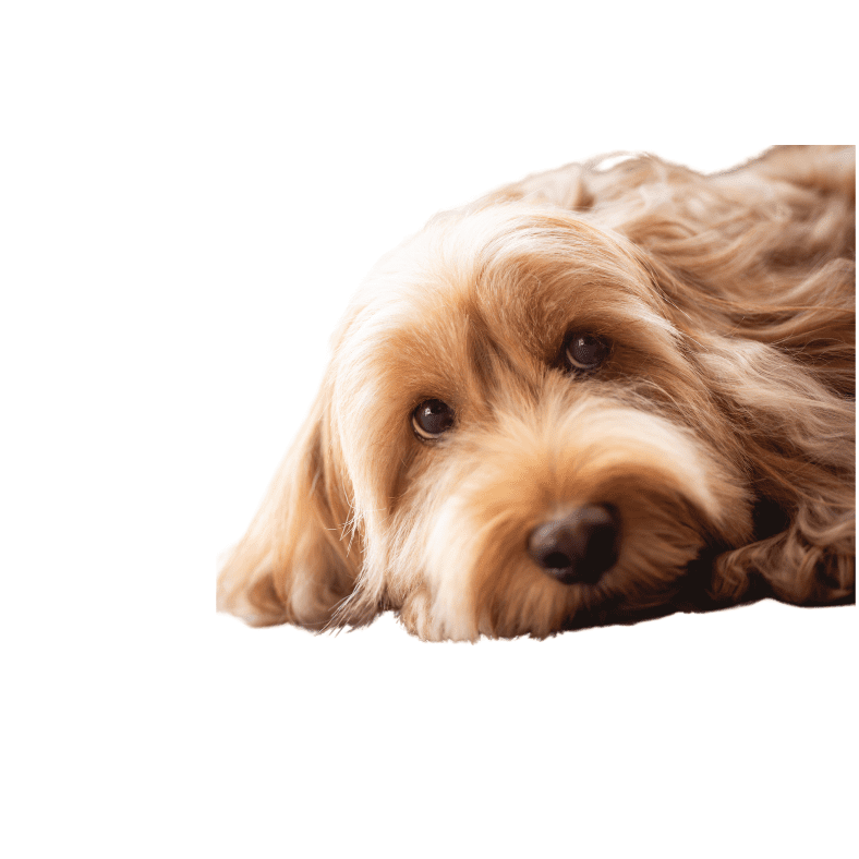 Untitled design (28)