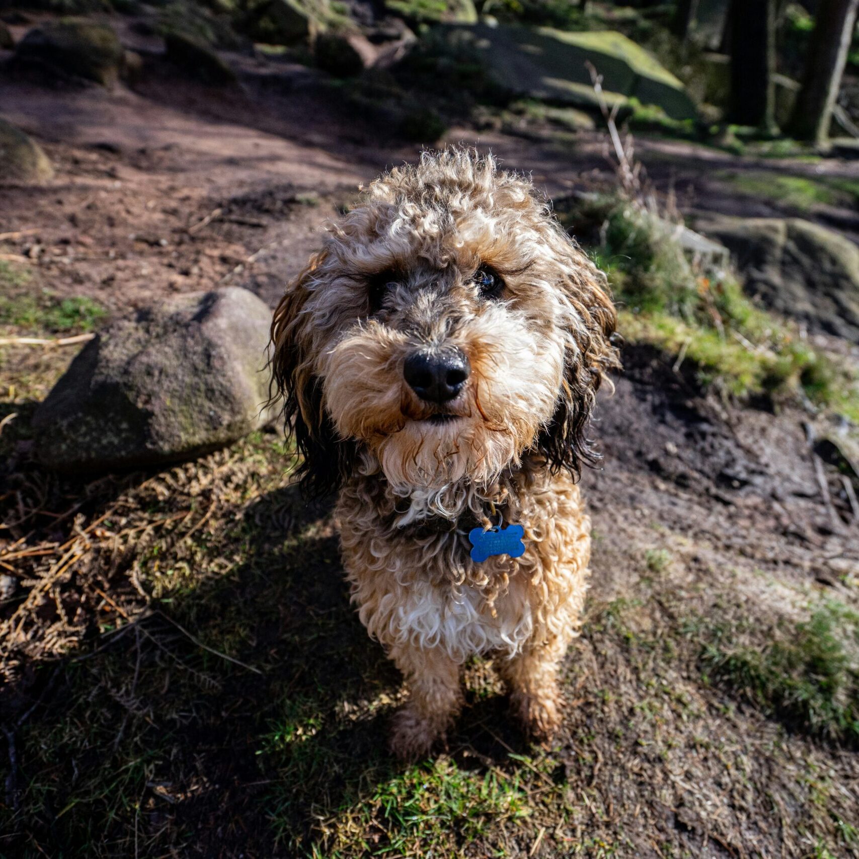 old-youth-yEAVj6aC5b0-unsplash